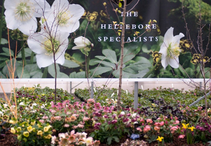 Open Sundays Post Office Farm Nursery