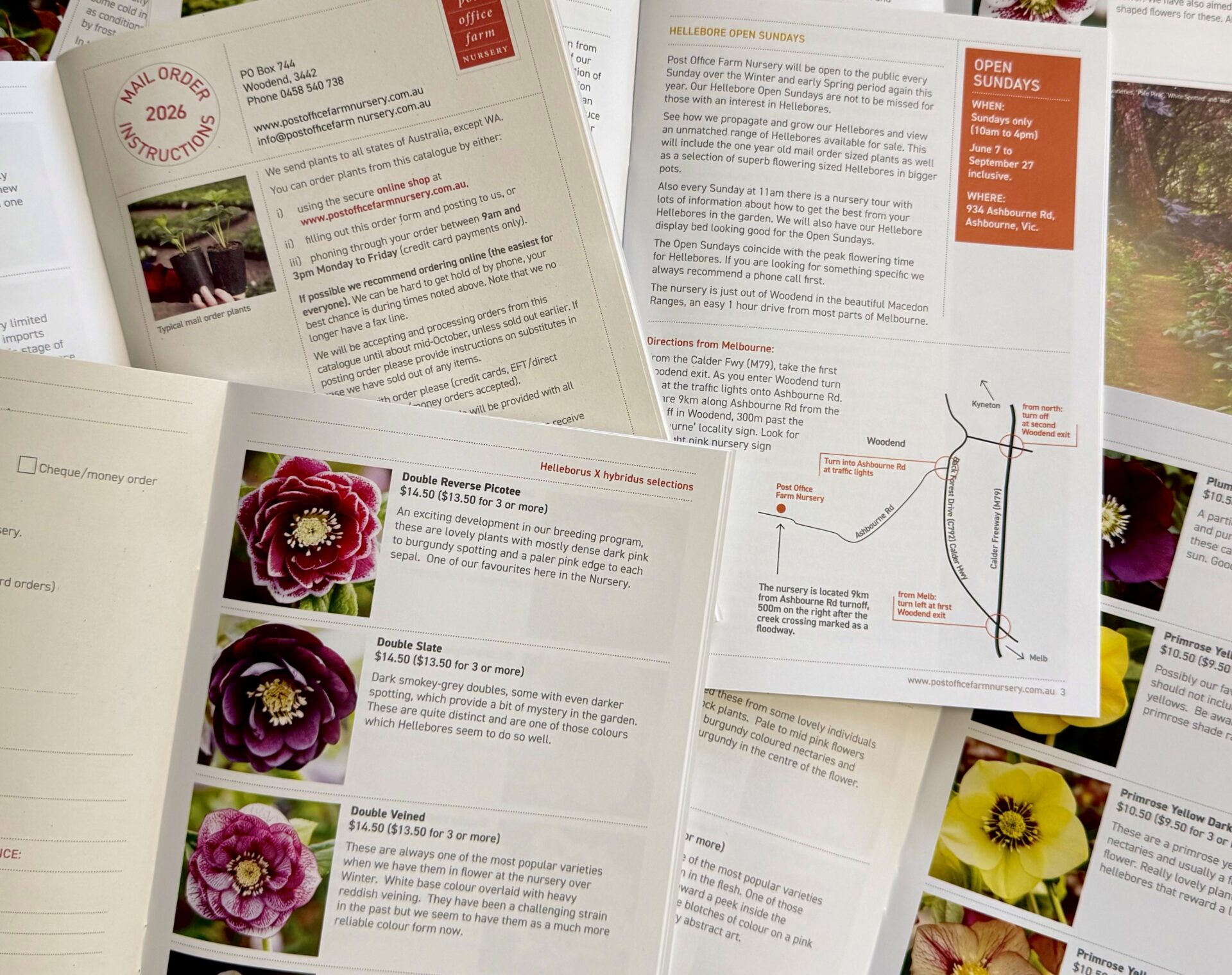 2026 Catalogue - Image 4