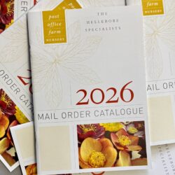 2026 Catalogue