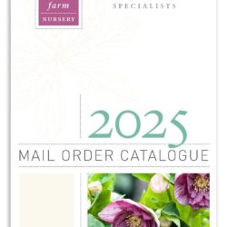 2025 Catalogue