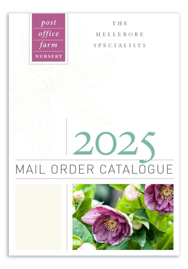 2025 Catalogue